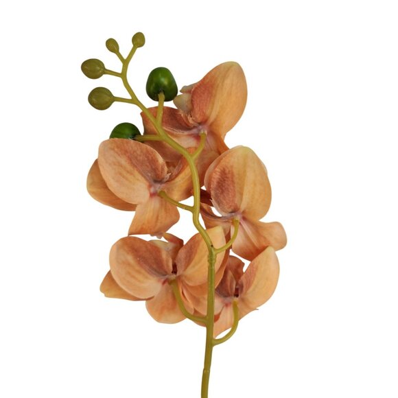 Artificial Orange Orchid Stem | Phalaenopsis Faux Flower | Realistic Silk Orchid - Picture 6 of 8